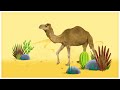 Walking Like a Camel Activities
