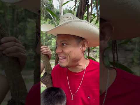 Amigos así para que 🤣#504honduras