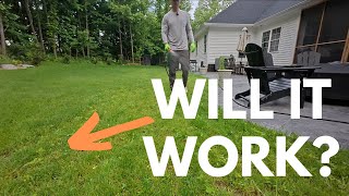 Does hose end weed control ACTUALLY work?