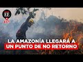 Amazon Rainforest Knowledge Assessment
