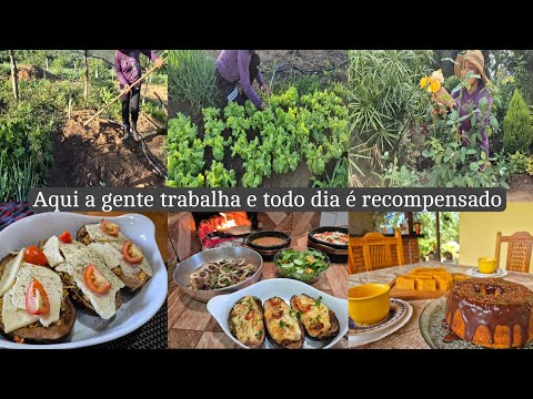 Cuidados na horta e no jardim  | bolotone | berinjela recheada| requeijão e almoço do dia