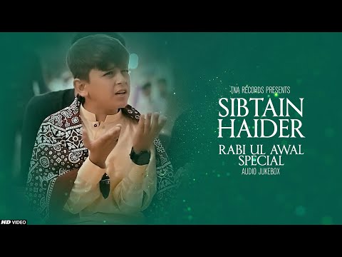 Ay Khatm e Rusul Maaki Madani || Sibtain Haider - Rabi Ul Awal Special JukeBox || Tna Records