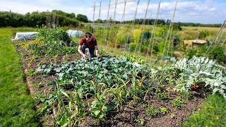 1st harvests of the year - Spring on the allotment patch and cooking with fresh vegetables Ep 3