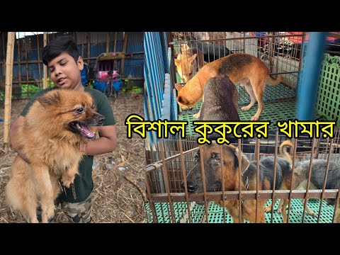 বিশাল কুকুরের খামার_Biggest dog kennel BD_কুকুরের দাম,German shepherd, Rottweiler, Pomeranian dog