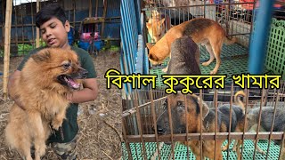 বিশাল কুকুরের খামার_Biggest dog kennel BD_কুকুরের দাম,German shepherd, Rottweiler, Pomeranian dog