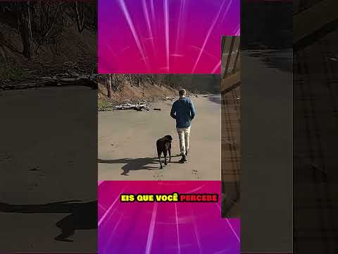 SOMBRAS QUE NÃO SÃO O QUE PARECEM #shorts #curiosidades