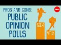 Understanding Public Opinion Polls