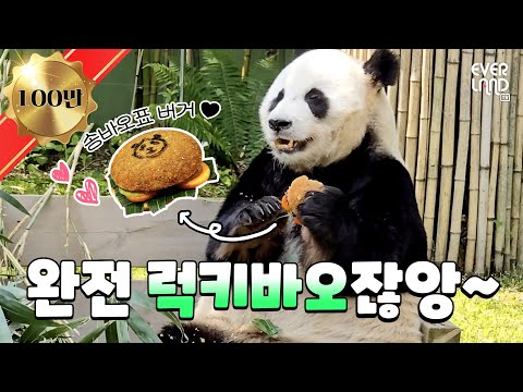 [ENG]햄버거가 다 분리돼서 따로따로 먹었는데 내 입맛에 딱인거야~ 완전 럭키바오잖앙~｜#판다와쏭 #159