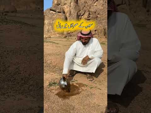 Water 🌊💦 in Dessert Of Saudia 🇸🇦 #shorts