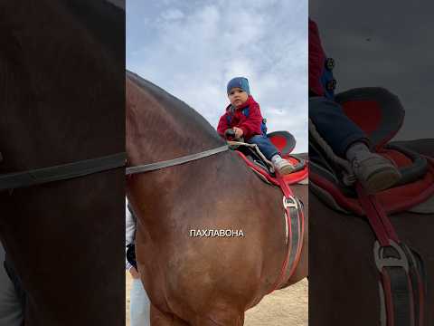 МАЛЕНЬКИЙ ПАХЛАВОН🔥#buzkashi #таджикистан #бузкаши #лошади #horse #дети #children