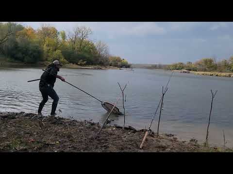 Grandiosa pesca de carpa