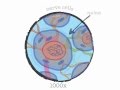 Exploring the Basics of Genes and DNA