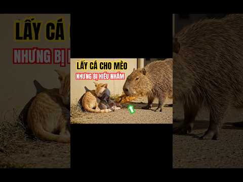 Capybara lấy Cá cho Mèo nhưng bị hiểu nhầm và cái kết 😞 #bigfoot #bigfootphieuluuky #capybara