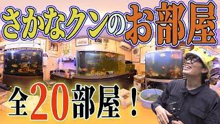 【ルームツアー⁉︎】６トンの海水が出てくるお部屋をさかなクンがギョ紹介いたします！【もはや水族館】