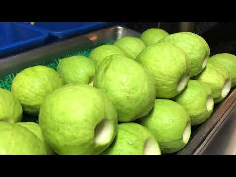 business video