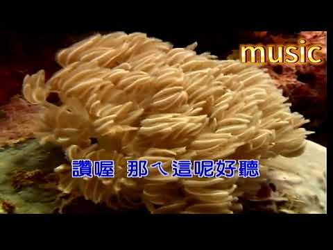 太湖船KTV 伴奏 no vocal 無人聲 music 純音樂 karaoke 卡拉OK 伴唱太湖船
