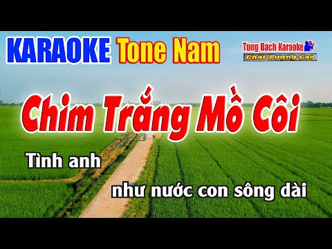 Chim Trắng Mồ Côi Karaoke ( Tone Nam ) Beat Chuẩn Nhạc Sống Tùng Bách