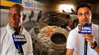 बलड़ी गाँव के लोगों ने Underpass में की पक्षियों के लिए दाना -पानी की व्यवस्था
