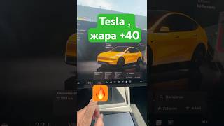 Жара +40 ; Tesla на пределе!
