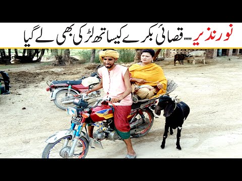 Noor Nazeer Qasai Larki Ly Gaya New Funny Comedy Video | Most Comedy Funny Video | You Tv2 Hd 2025