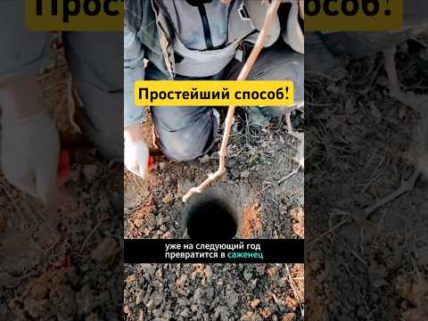 Удивительно, но этот способ работает!