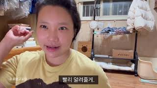 빈백쿠션, 등받이쿠션, 삼각등받이 쿠션