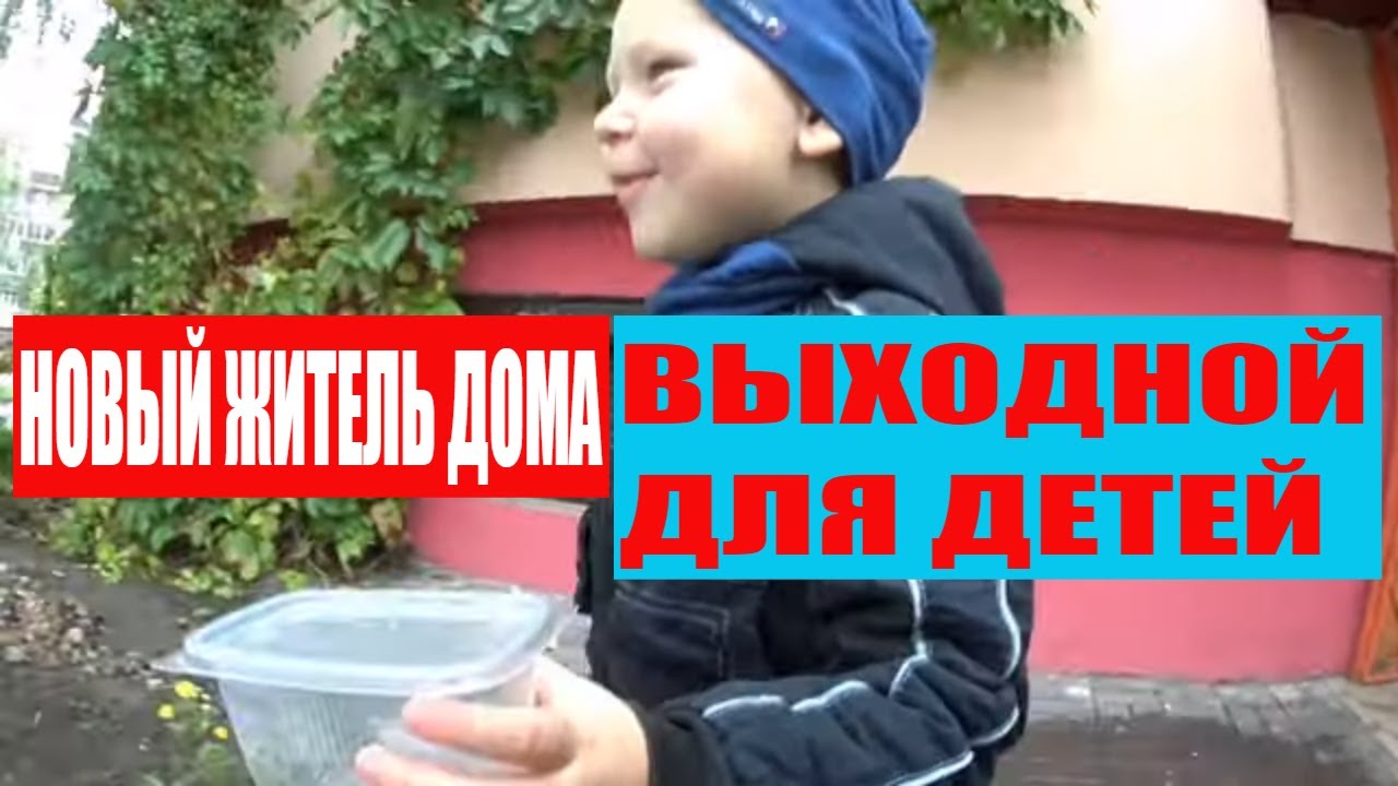Новый житель в нашей семье. Завтрак папы. Детская комната