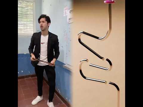 La exposición 📝