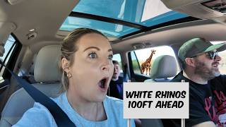 We found wild giraffes in TEXAS?!