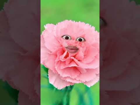 Ông trời đặt tên cho hoa...cẩm hiền? tên này lạ lắm à nha!