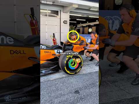 McLaren Has The Best Mechanics in Formula 1!