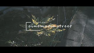 Cinematic Street Video | FUJIFILM X100V | HANDHELD