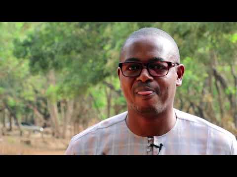 « Transformer et commercialiser l’anacarde : un projet édifiant d'Enabel au Bénin »