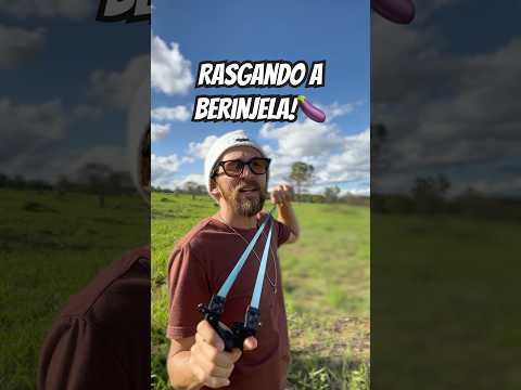 QUAL BALADEIRA DETONA A BERINJELA?🍆 #humor #comedia #desafio