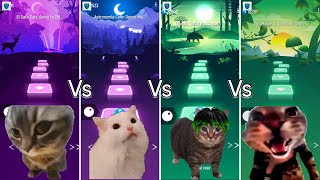 Chipi Chipi Chapa Chapa Cat Vs Astronomia Cat Vs Oiiaoiia Cat Vs Doorbell Cat - Tiles Hop EDM Rush