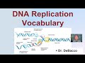 DNA Replication Concepts and Processes