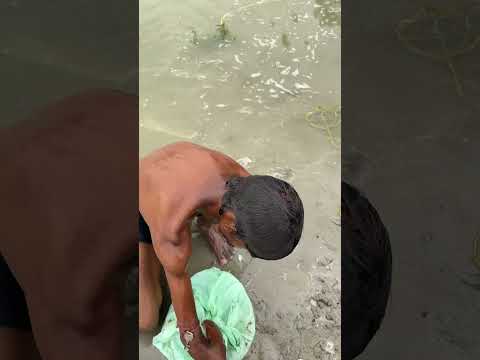 The boy is a loser and how is he taking out money from Gangaji#shortvideo #viralshort
