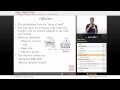 Olfactory System and Functions