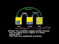 States of Matter and Heat Concepts