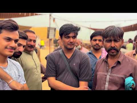 Bakra Mandi Today 2025 latest price bakra mandi faisalabad cow mandi new video rates