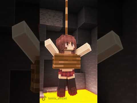 Bêtisier "Ce pote trop gentil sur Minecraft"