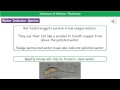 Pollution and Environmental Indicators