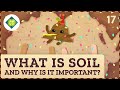 Exploring Soil Composition and Its Environmental Impact