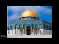 Islamic Contributions to Science and Literature