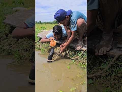 বু'দ্ধি টা ভালো আছে 😮