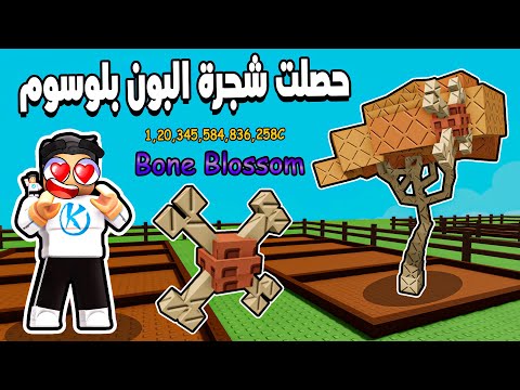Grow a Garden 🦴 حصلت شجرة بون بلوسوم و جربت تكبر حجم الثمره
