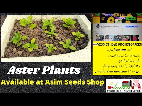 Kitchen Garden Seeds Coupon - 122021