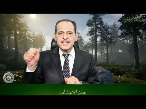 فوائد الملوخيه - الملوكيه مــع خـبـيـر الاعشاب حسن خليفه