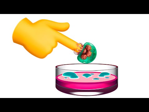 Petri Dish Emoji and what it's hiding