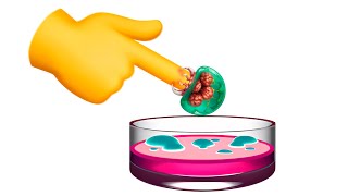 Petri Dish Emoji and what it's hiding